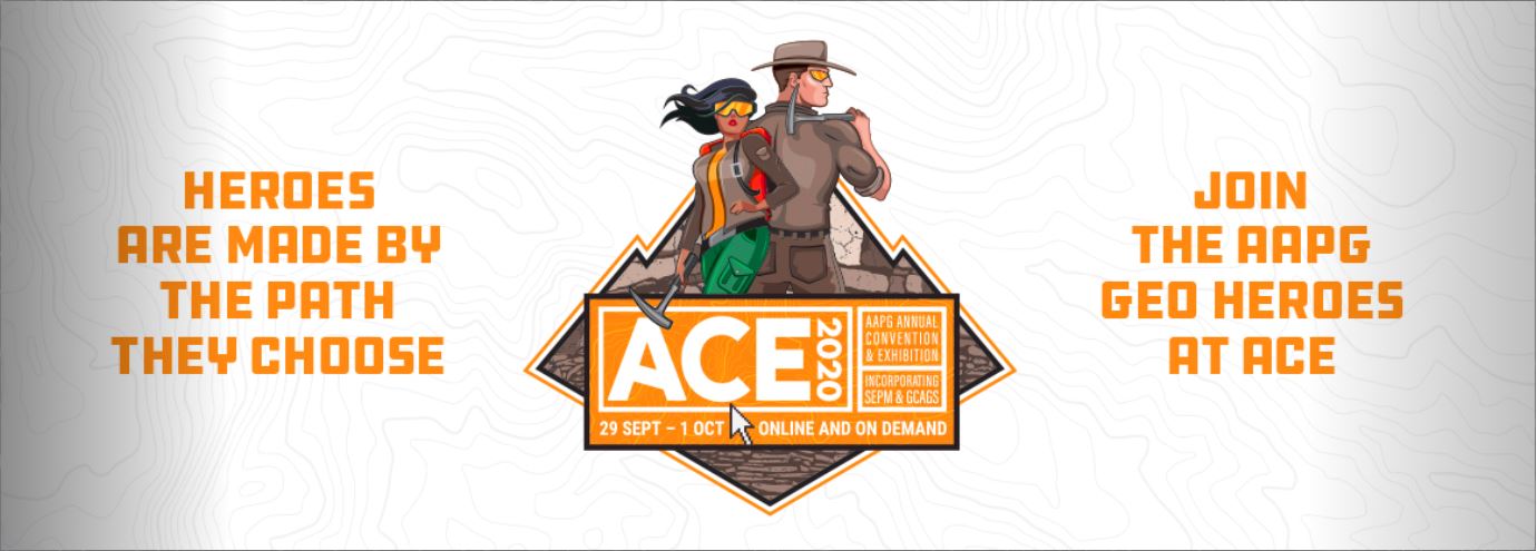 ACE 2020 Online Conference Banner