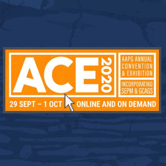 ACE 2020 Online Conference Logo