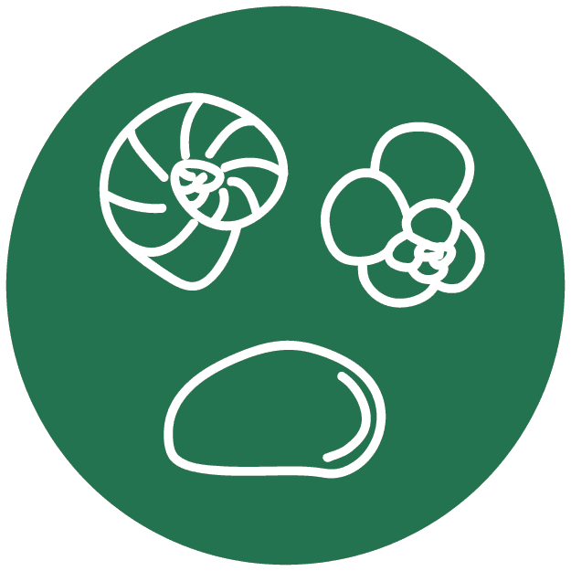 PetroStrat Icon Micro