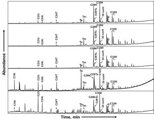 PetroStrat Geochemistry Saturated Alkanes Fragmentogram