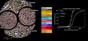 PetroStrat Mineral Map Bulk Mineralogy Beach Sand Size Fractions Including Mean Particle Size