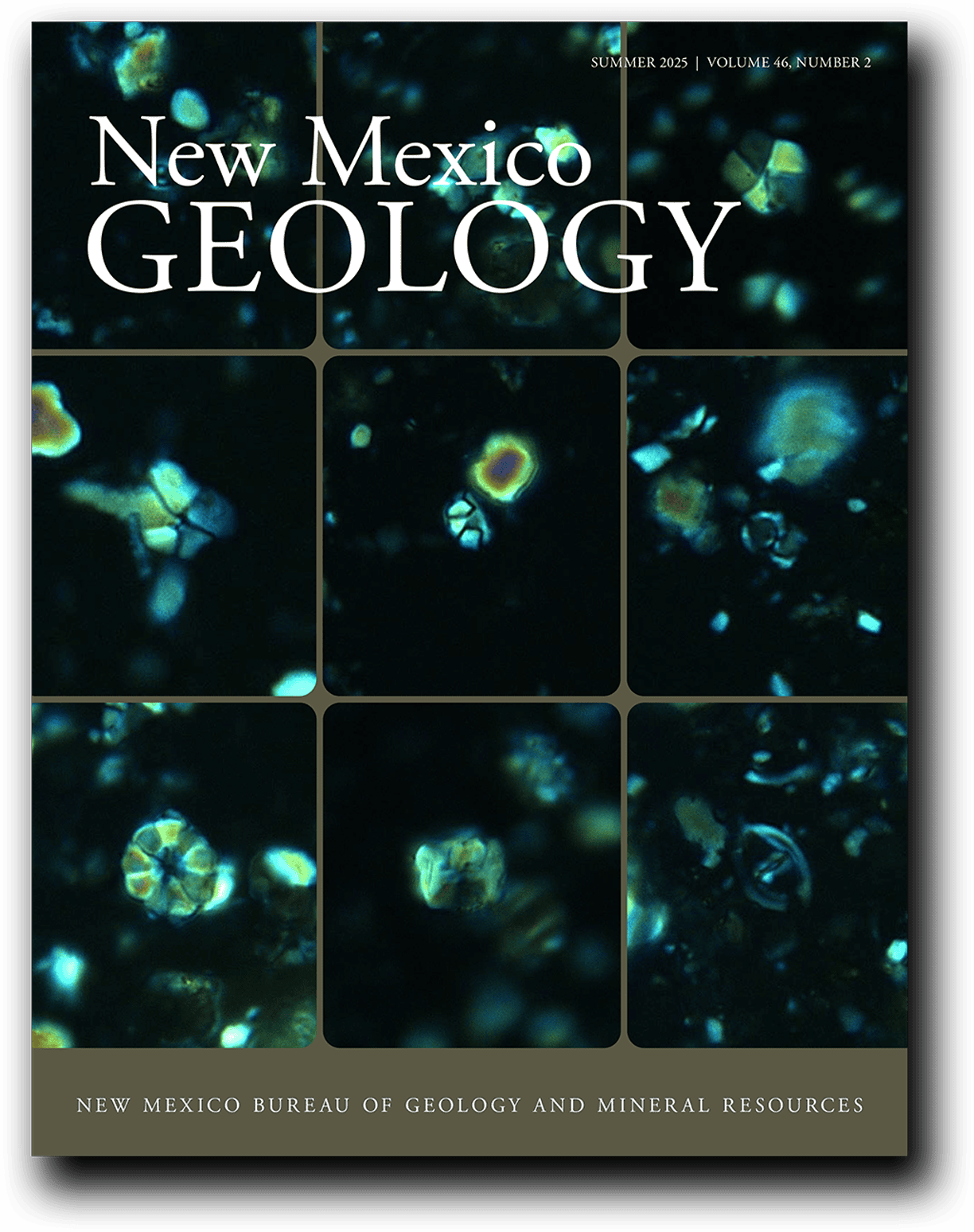 First Record of Early Cretaceous Nannofossils from New Mexico co authored by Jason Jeremiah Cover