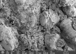 PetroStrat Chlorites and overgrowths SEM zoom