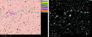 PetroStrat Mineral Map left of a porous sandstone using the new MapsMineralogy technology, enabling extraction of su