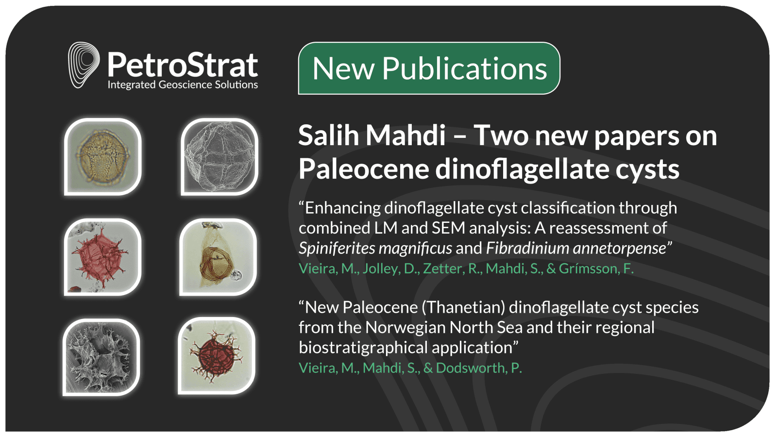 PetroStrat Paper Overview Salih Mahdi Two new papers on Paleocene dinoflagellate cysts overview graphic