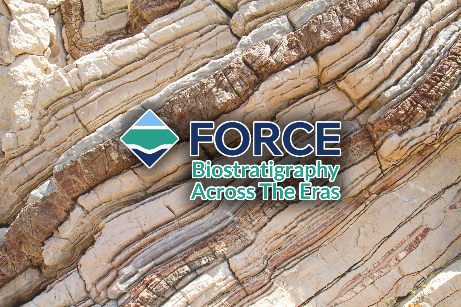 FORCE Biostrat Across the Eras Website