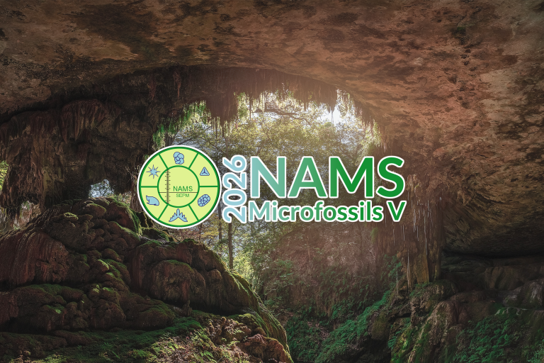 NAMS 2026 Website