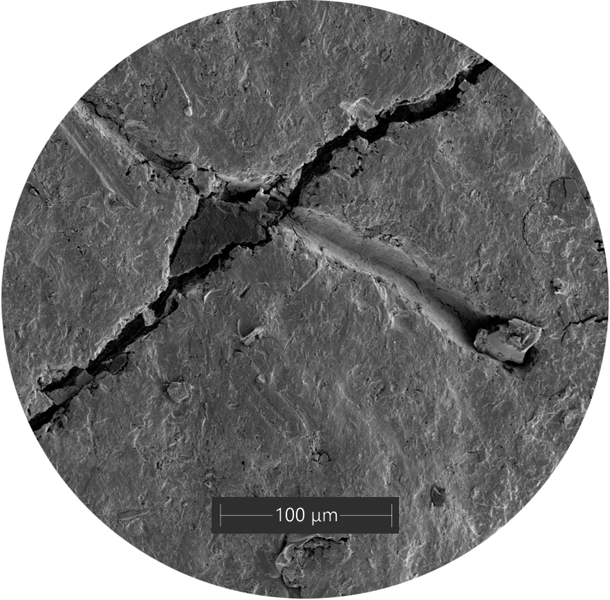 PetroStrat SEM of surface of MP